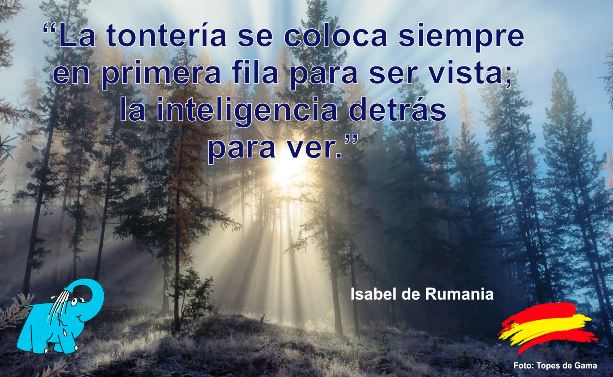 La tontería se coloca siempre en primera fila para ser vista; la inteligencia detrás para ver.